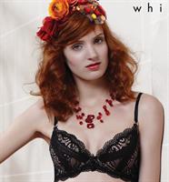 Pleasure State White Label Midnight Sun Plunge Push Up Bra (Black)